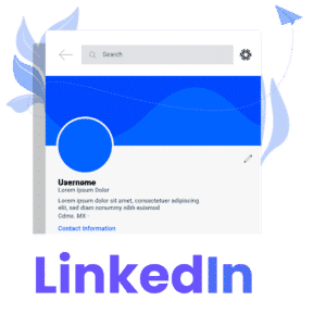 Linkedin - Biz Bull